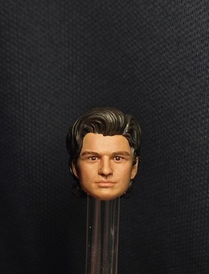 STRANGER THINGS STEVE HARRINGTON Joe Keery Custom Head Sculpt PAINTED 1/10, 1/12