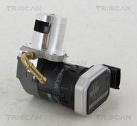 Triscan AGR Ventil 8813 24046 FüR Saab Opel Vectra Z02 CC Signum Z03 Zafira T98
