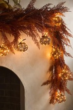 Anthropologie Terrain Nature Effects Illumina...