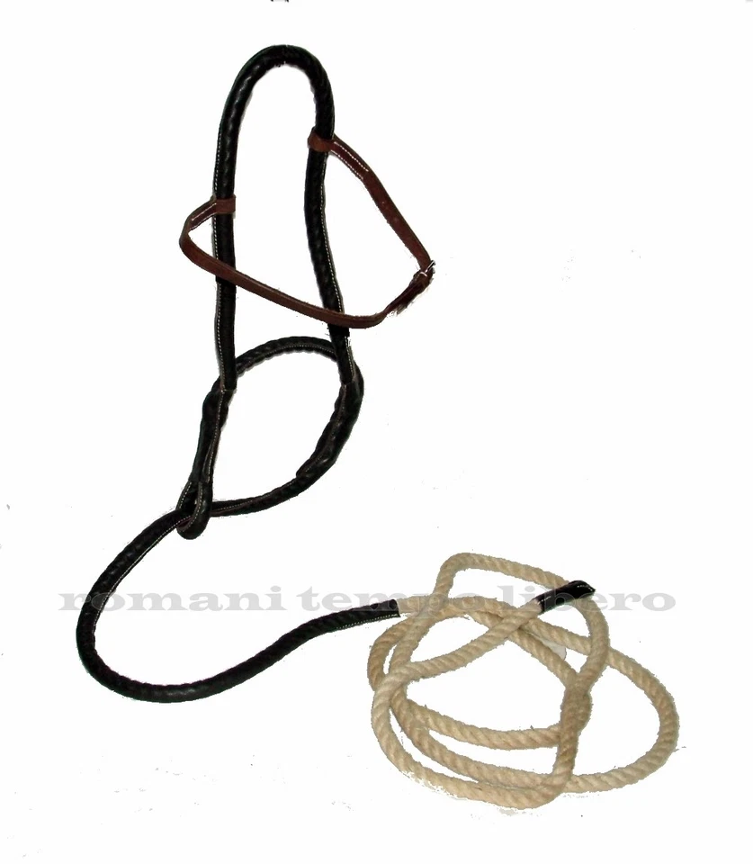 CAVEZZONE MAREMMANO Aus Hanf Und Leder Hemp Covered Halfter MAREMMANA Modell - Bild 1 von 1