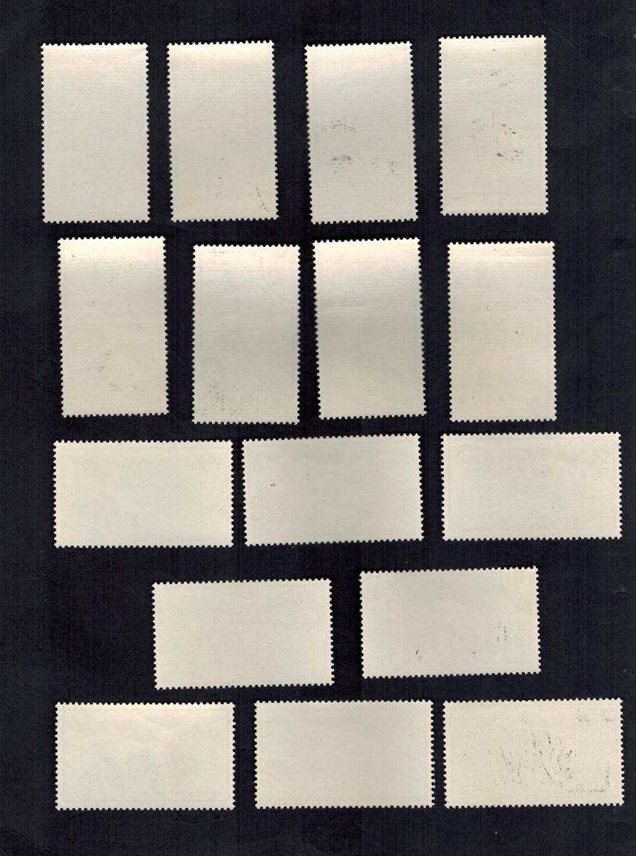 標本 Tibet Cheirotonusmacleayi 59mm ColBase