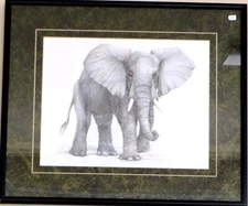 Original 16 x 20" Hand-Drawn Graphite, Realistic Elephant Professionally Framed