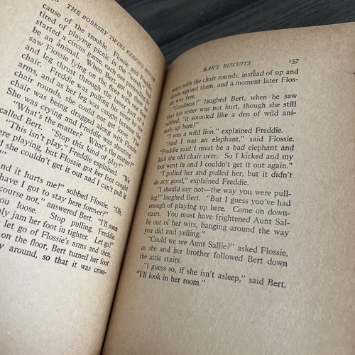 The Bobbsey Twins Keeping House By Laura Lee Hope 1925 - Picture 20 of 24