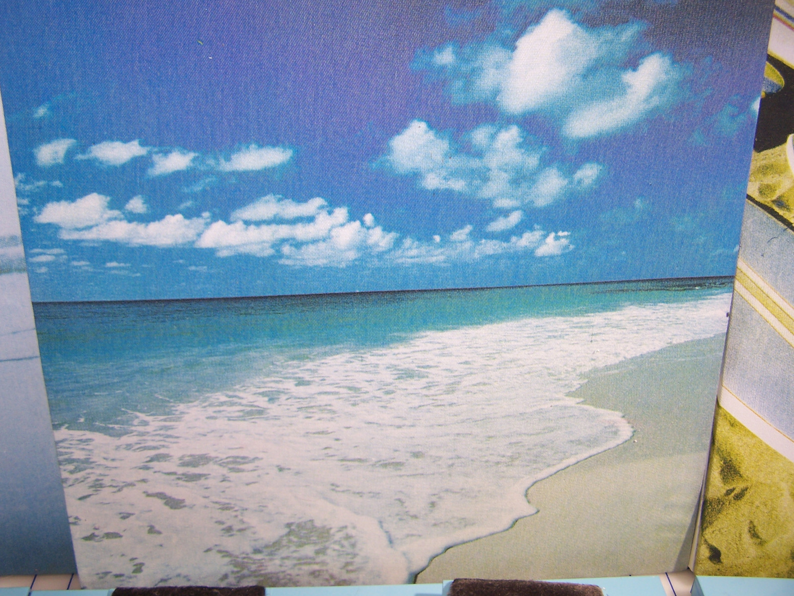 Picture 3 of 12