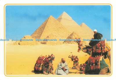 D251672 Gizeh Die Pyramiden El Faraana Werbung und Druck