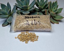 Japanese Bonsai Soil Akadama Brown Mix For All Bonsai Tree 2 lbs. 1.6 Liters 
