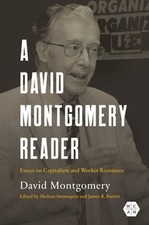 A David Montgomery Reader: Essays on Capitalism and Worker Resistance: New
