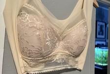 Women  s Solid Floral Lace Contrast Sheer Mesh Bra