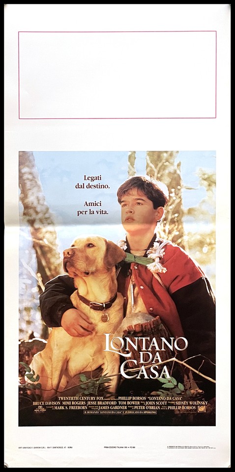 Locandina di Lontano da casa (1995)