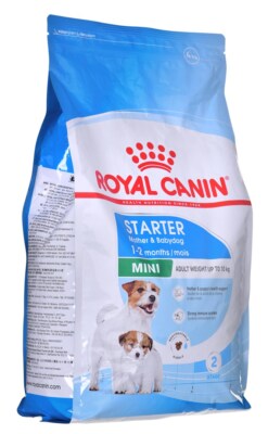 3182550932707 ROYAL CANIN SHN Mini Starter Mother & Babydog - Trockenfutter 