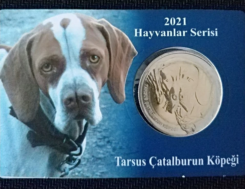Tarsus catalburun store