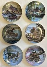 Set Of Six A Loving Look,  Duck Families Collector Plates By Bruce Langton
