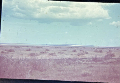 Agfacolor Farbdia 297 Inf. Division Kornkammer Russia Camouflaged Technik FD18