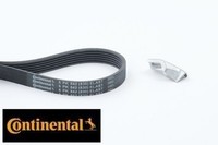 Continental Ctam 6PK842ELASTT1 Keilrippenriemensatz Keilriemen Satz