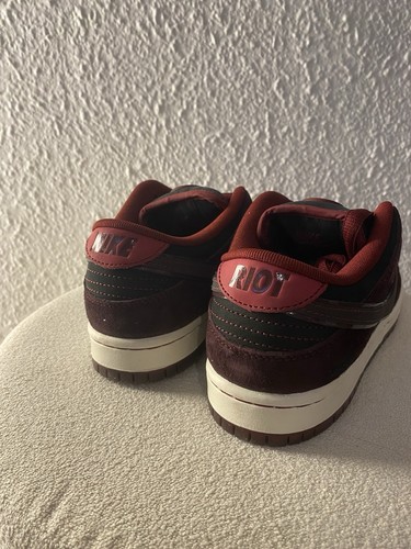 Nike Dunk Riot Special Box - Imagen 10 de 14