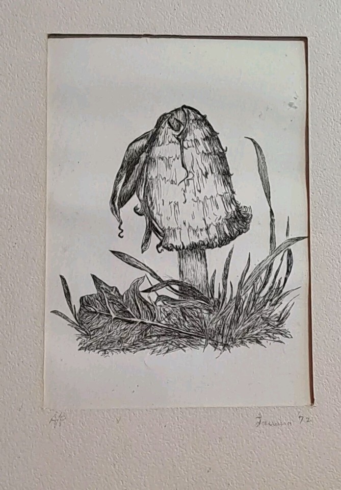 Framed Vintage Mushroom Print Signed Jauana 1972 eBay