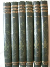 Set of SIX Antique 'FAMILIAR WILD FLOWERS" Books - Wonderful Condition
