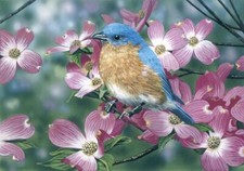 Ceramic Backsplash Tile Mural Bird Kitchen/Bathroom - Bluebird/Pink Dogwood
