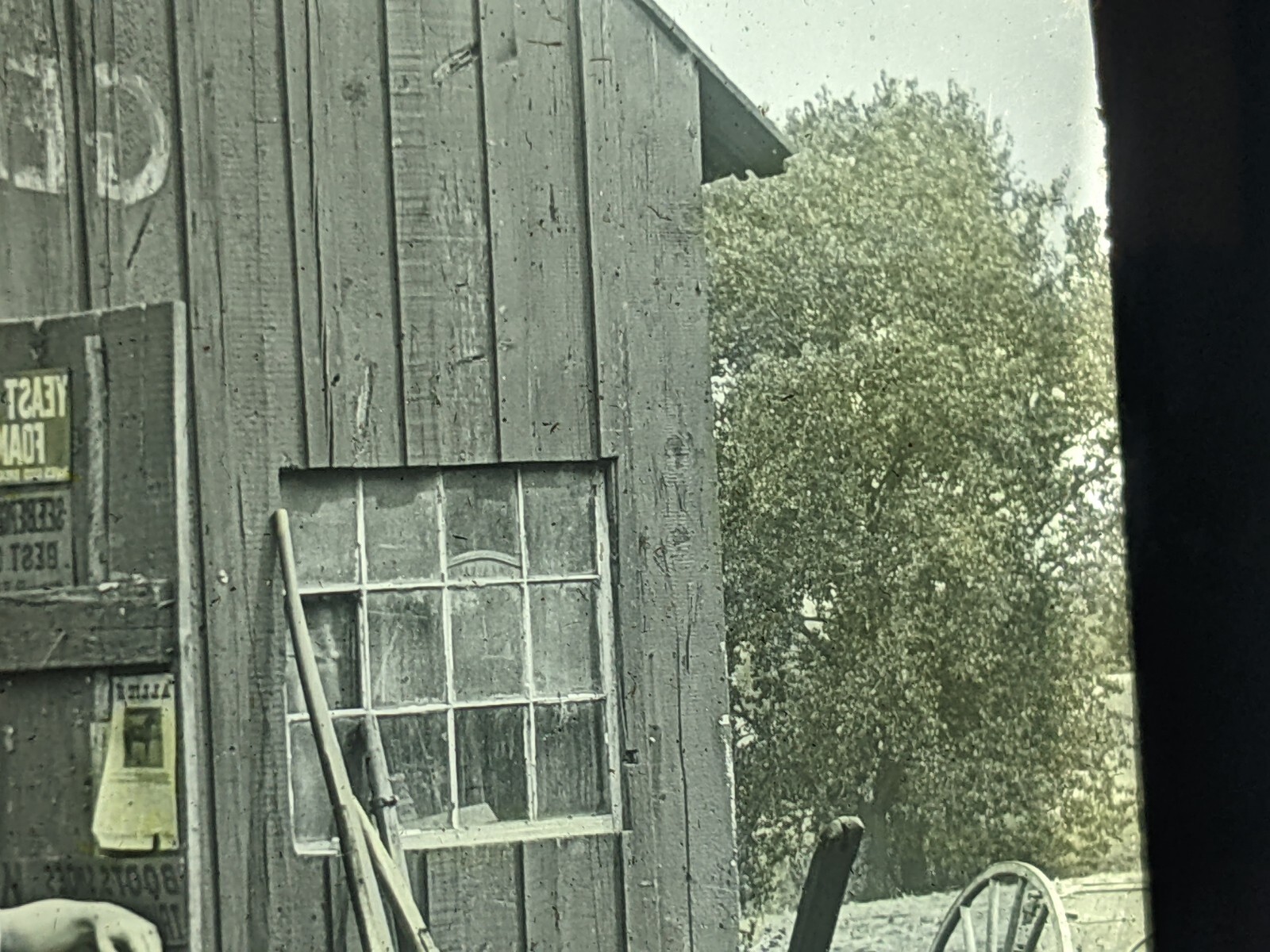 Picture 5 of 13