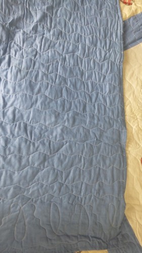 Antique Vintage Appliqued QUILT, BUTTERFLIES Blue Lattice, Multi-Color, 96"x84" - Picture 9 of 13