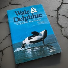 🐋 TAUCHEN Buch: Wale & Delphine Meeressäuger - Jahr Verlag 🐬