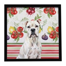 White Boxer Vegetables Framed Metal Print WDK8137MFP88