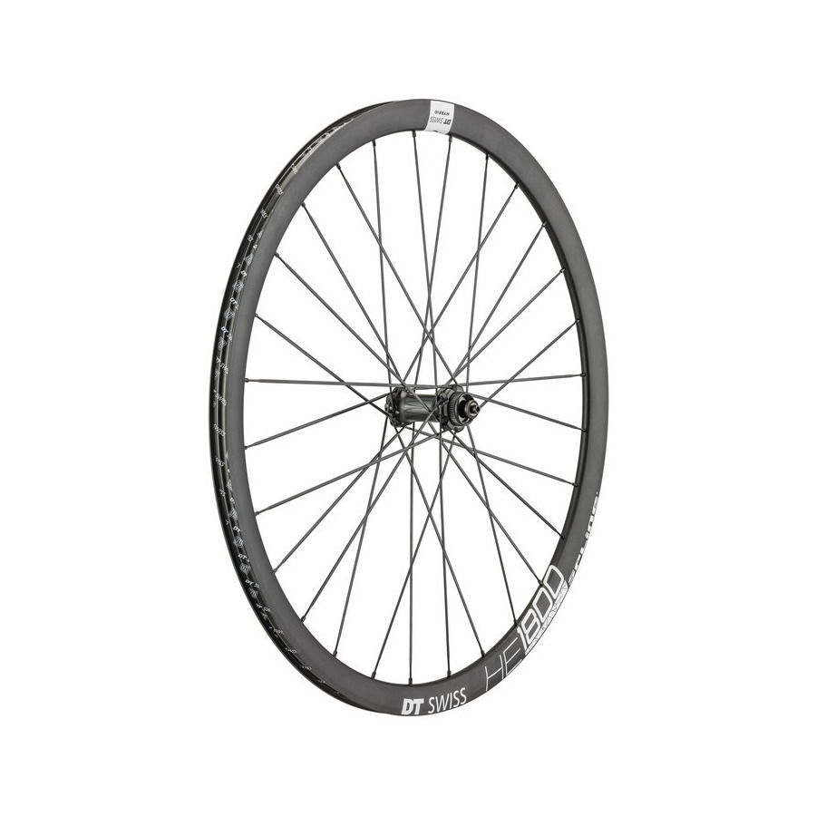ruota anteriore e-bike he 1800 spline 28 20mm 12x100mm freno a disco DT Swiss Bi