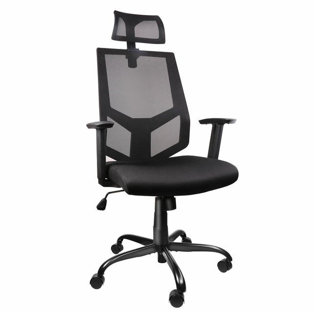 Mesh Ergonomic Office Chair with Adjustable Headrest/Neck ...