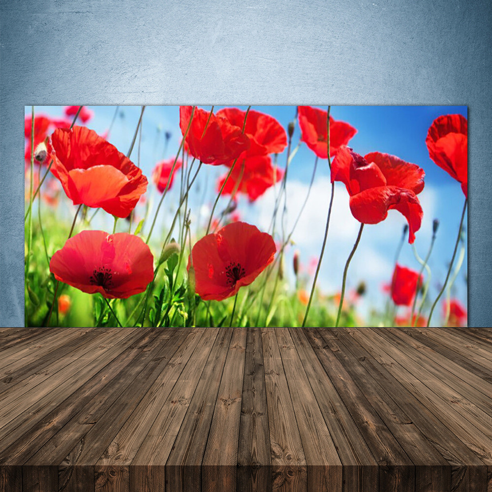 Crédence de cuisine en verre 140x70 cm Panneau fond de hotte motif herbe et coquelicots