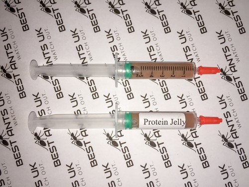 Live Queen Ant Food Jelly Harvester Ants Organic Seeds Mix Protein Best Ants UK - Picture 6 of 15