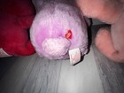 Bild 6 von 17