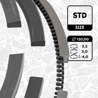 ET Engineteam Kolbenringsatz R1003100 FüR MAN TGA TGS 1 TGX Hocl SÜ NL NG 2 FAP