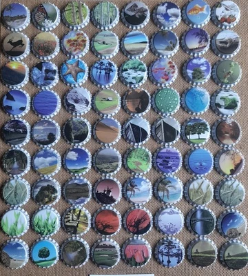 72 Kronkorken CAN PACK SET GREY SKIRT 2010 POLAND bottle caps chapa crown serie - Bild 1 von 4