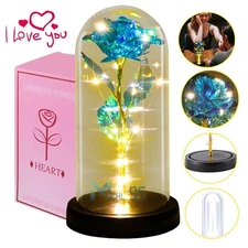 Eternal Forever Galaxy Rose Flower In Glass Dome LED Light Valentine's Day Gift