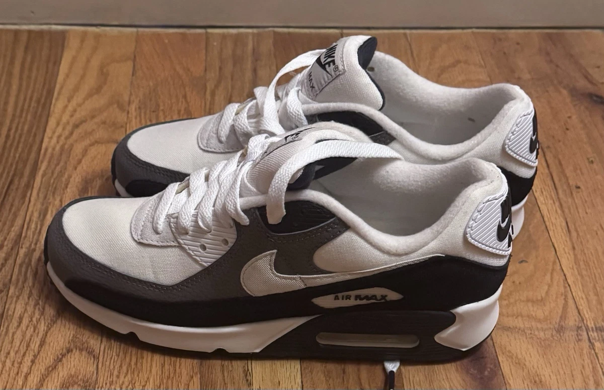 Nike Air Max 90 Flat Pewter Obsidian for Sale | Authenticity