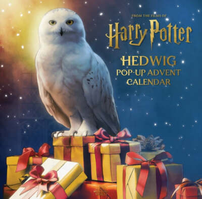 Harry Potter: Hedwig Pop-Up Advent Calendar  NEW *FREE P&P*