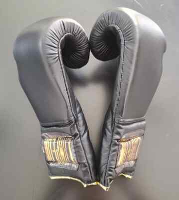 Campeon Boxing Gloves - Professional Grade Genuine Leather Mexico