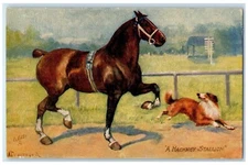 c1910's Horse A Hackney Stallion Dog Drummond Oilette Tuck's Antique Postcard