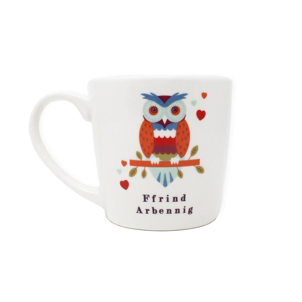 Novelty Coffee Mug Inside Out Ffrind Arbennig Welsh Ceramic Tea Cup Friend Owl