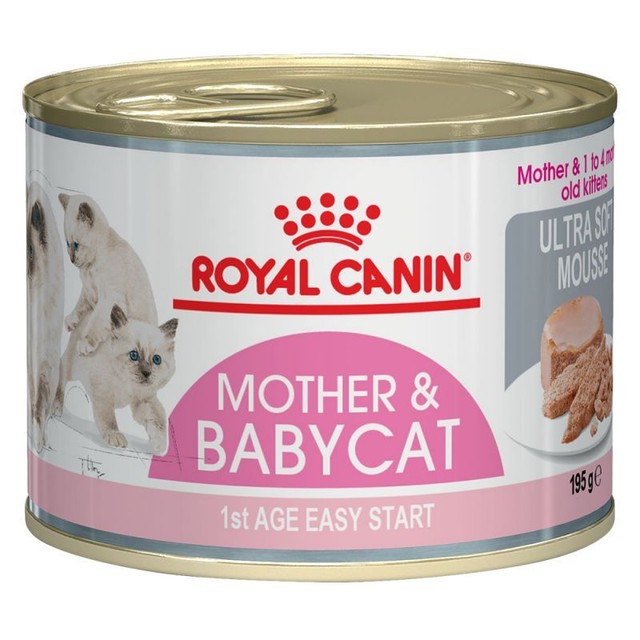 royal canin babycat food