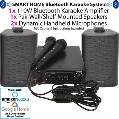 karaoke amplifier and speakers