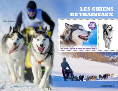 Sledge Dogs Alaskan Malamute Husky MNH Stamps 2022 Central African Republic  S/S
