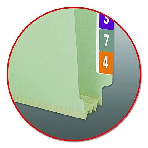 PESTAÑA DE PRENSADO CON LENGÜETA PYMEAD CARPETA DE ARCHIVOS EXPANSIÓN ESCUDO SEGURO - GRIS/VERDE Foto 2 de 4