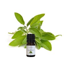 Sage Essential Oil, Organic, Pure, Natural