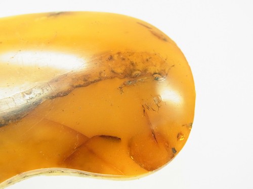 Schöner Butterscotch Egg Yolk Amber Bernstein aus Bernsteinsammlung 12,7 Gramm - Bild 7 von 8