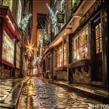 Cityscape 10'x10' Computer/digital Vinyl Scenic Photo Background Backdrop BHF705