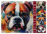 "Calendar 2027 · US Version · Colorful Boxers (Wall Calendar 2027 12\" × 8\" Landsc"