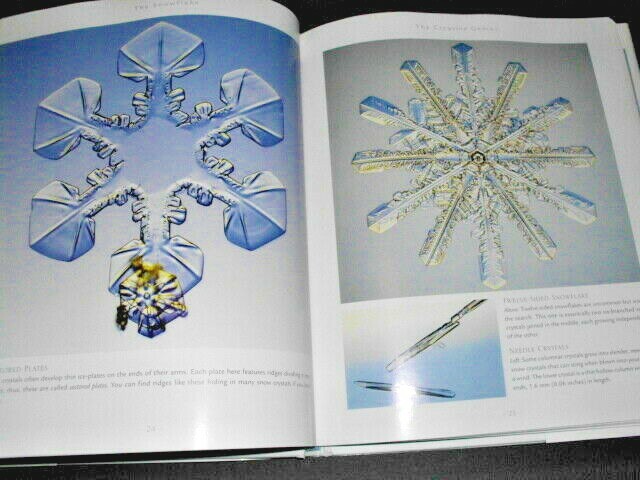未使用The  FLAKE Winter’s Secret Beauty THE SNOWFLAKE : Winter's Secret Beauty | eBay