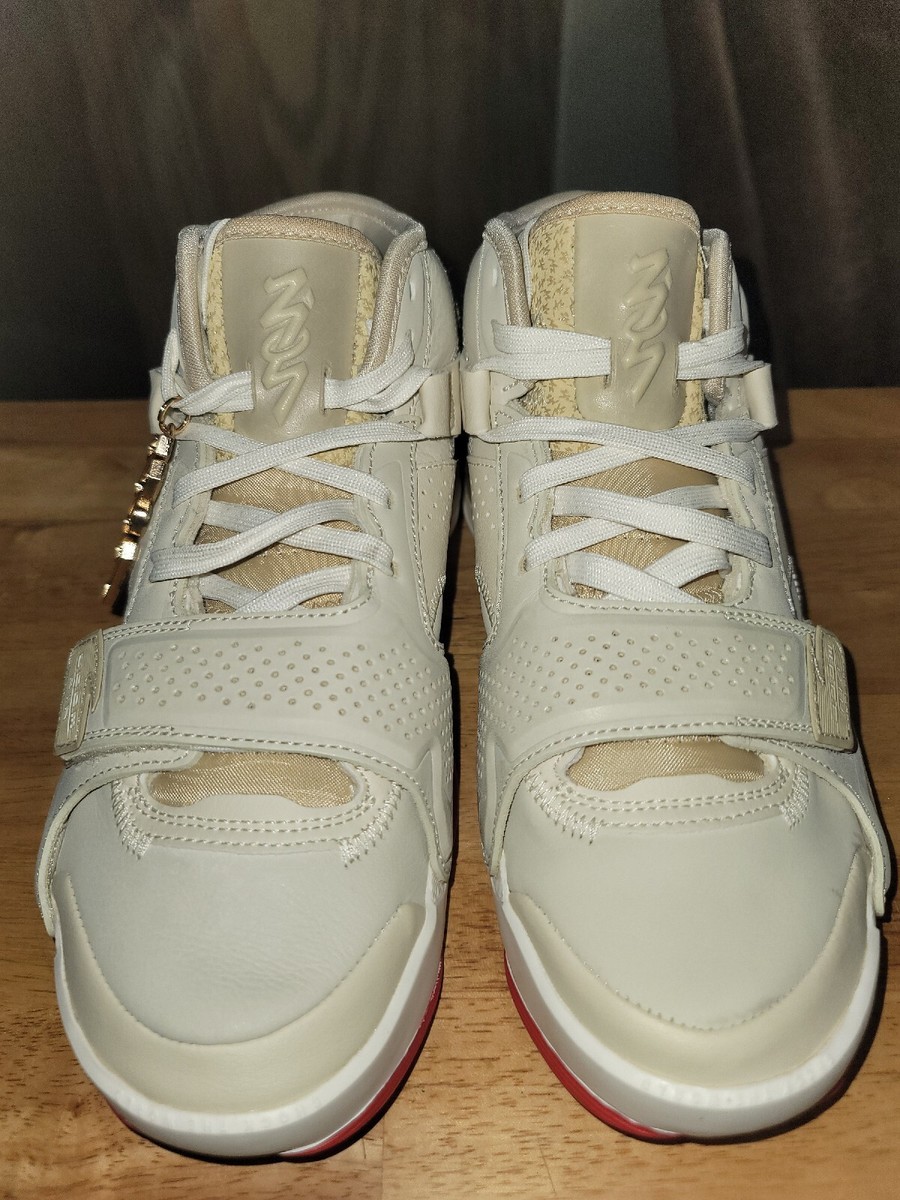 NEW Jordan Zion 2 Fossil 2022 SIZE 8 | eBay