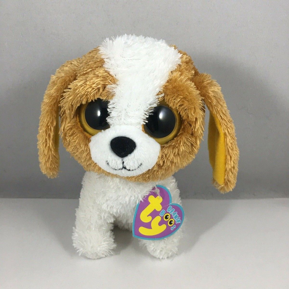 Ty Beanie Boos COOKIE the Dog (6 Inch) (Solid Color Eyes) with Purple Heart  Tag